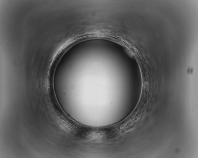 X0000100940248200807011252