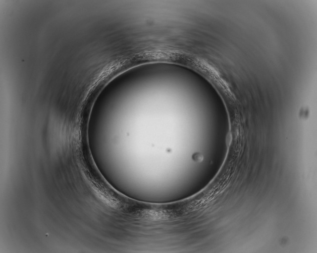 X0000100940250200807011252