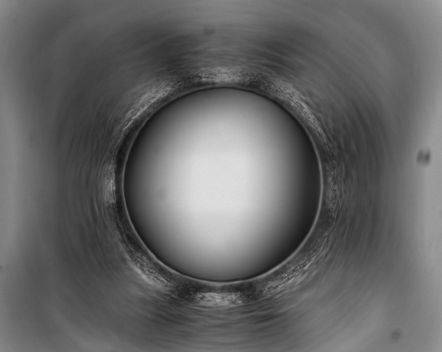 X0000100940251200807011252