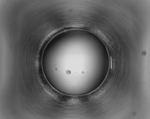 X0000100940252200807011252