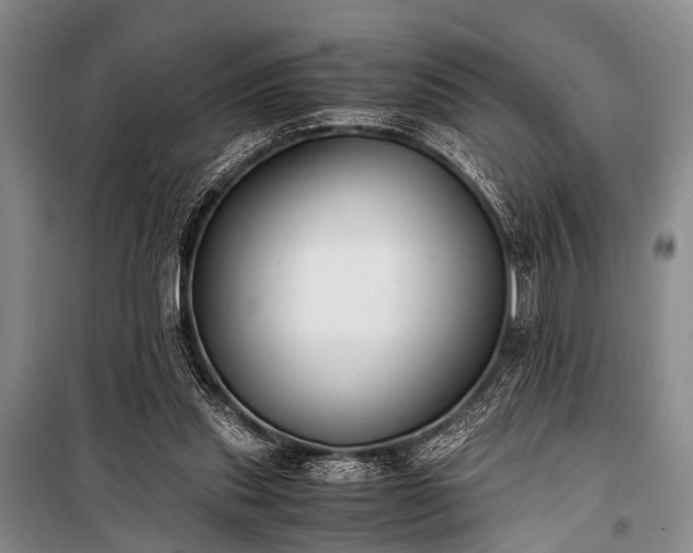 X0000100940253200807011252