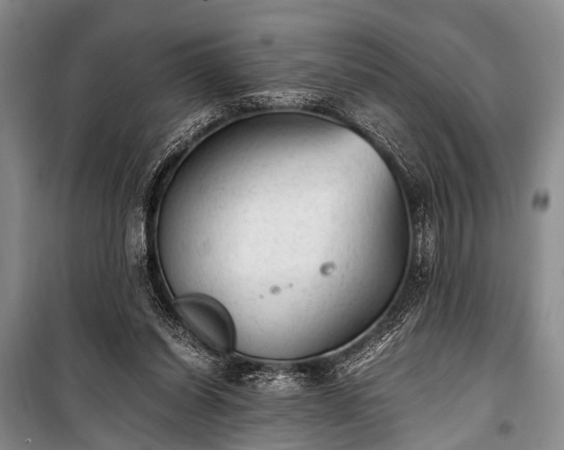 X0000100940254200807011252