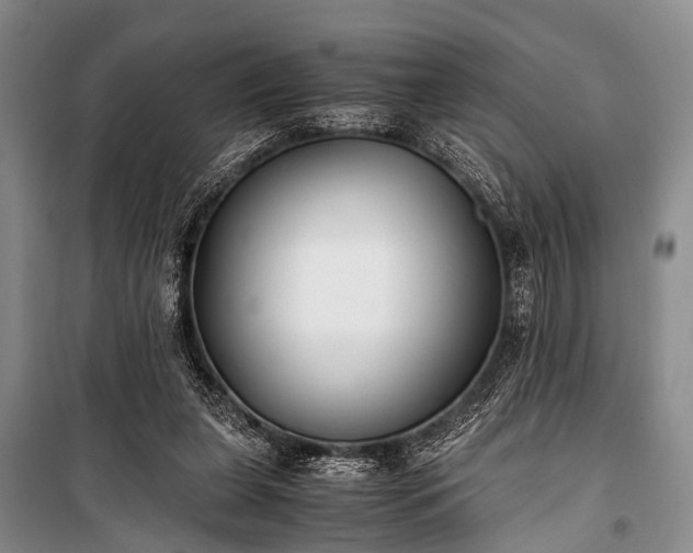 X0000100940255200807011252