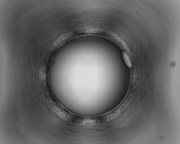 X0000100940257200807011252