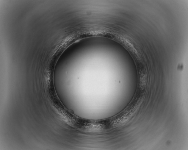 X0000100940260200807011252