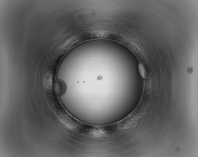 X0000100940262200807011252