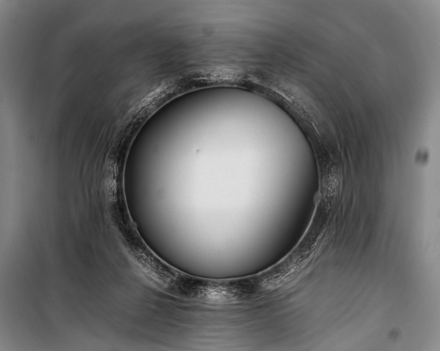 X0000100940264200807011252