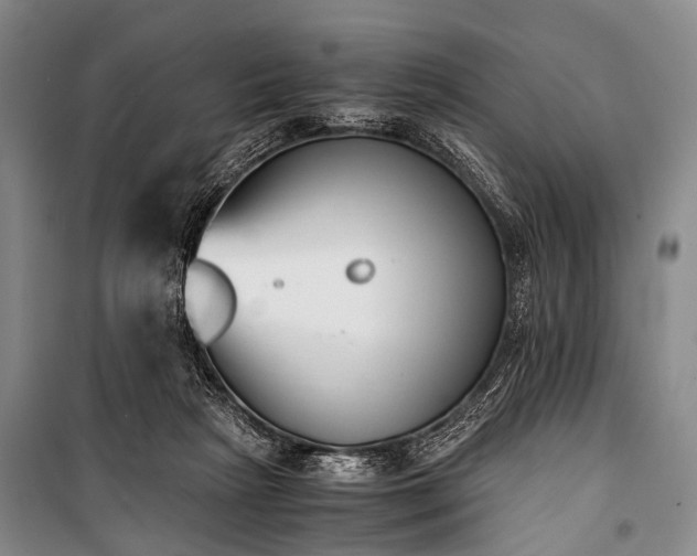 X0000100940265200807011252