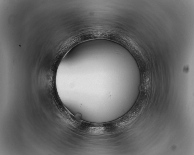 X0000100940266200807011252