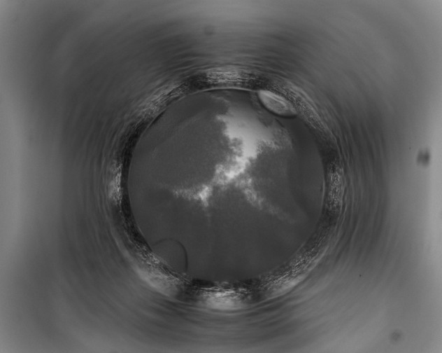 X0000100940267200807011252