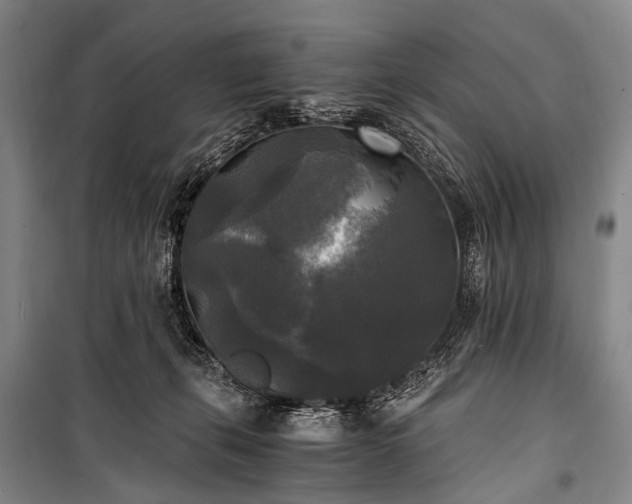 X0000100940271200807011252