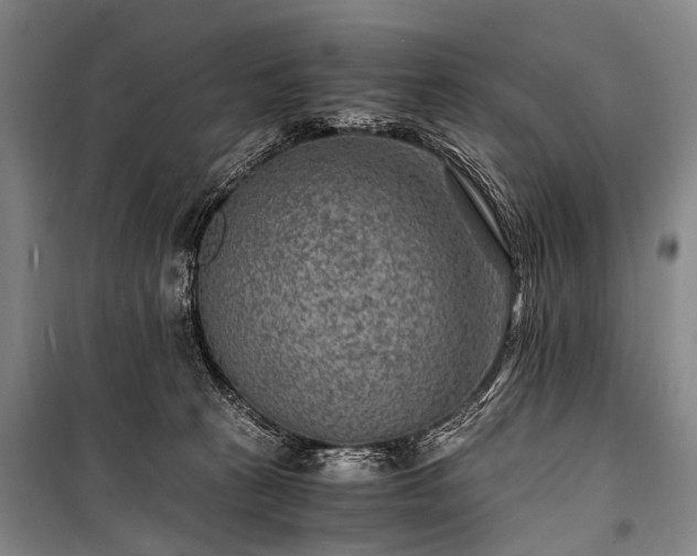 X0000100940273200807011252