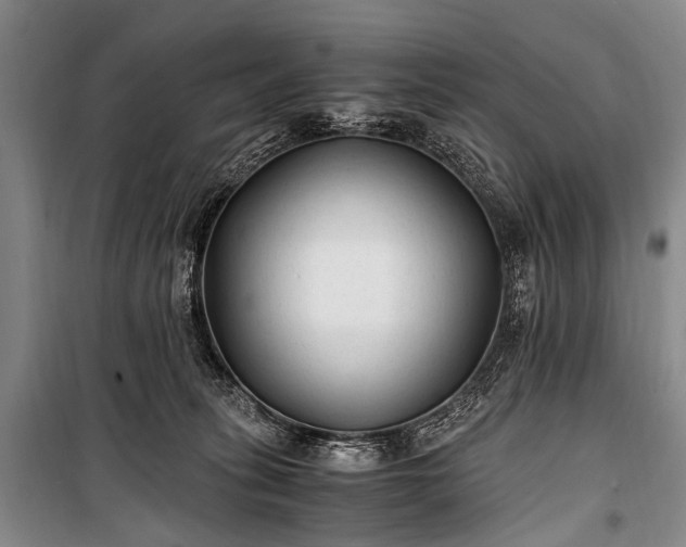 X0000100940275200807011252