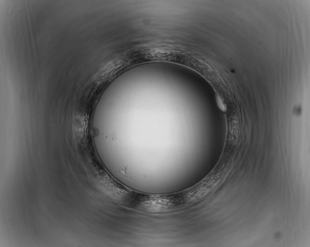 X0000100940278200807011252