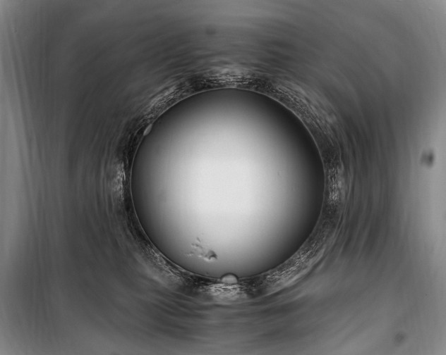 X0000100940279200807011252