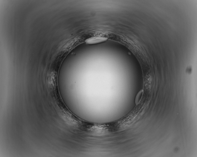 X0000100940280200807011252