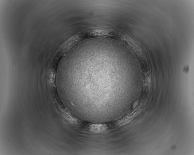 X0000100940281200807011252