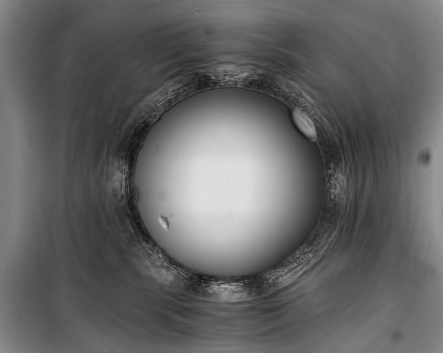 X0000100940283200807011252