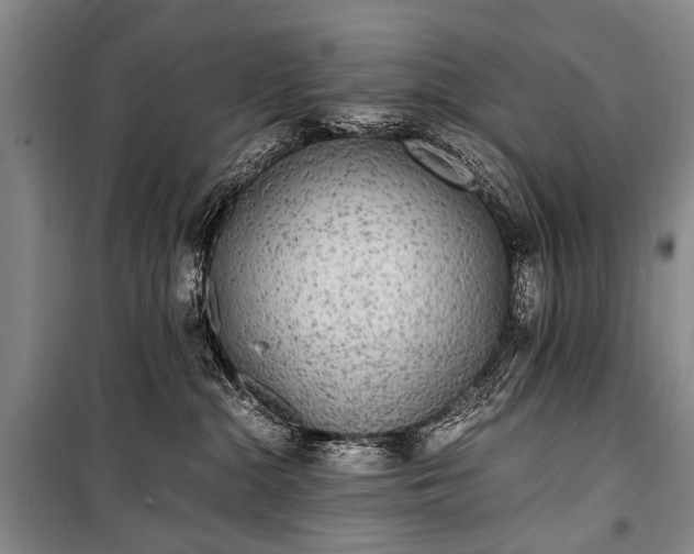 X0000100940284200807011252