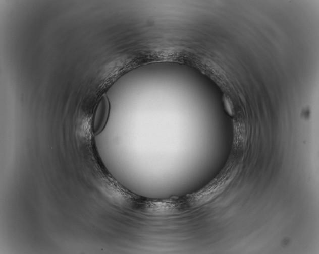 X0000100940286200807011252