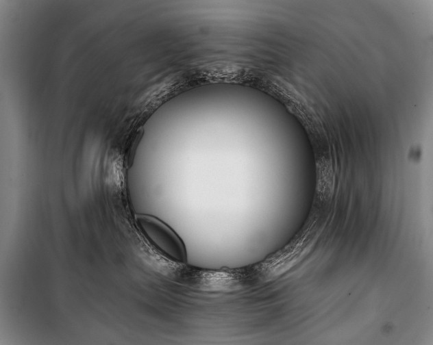 X0000100940287200807011252