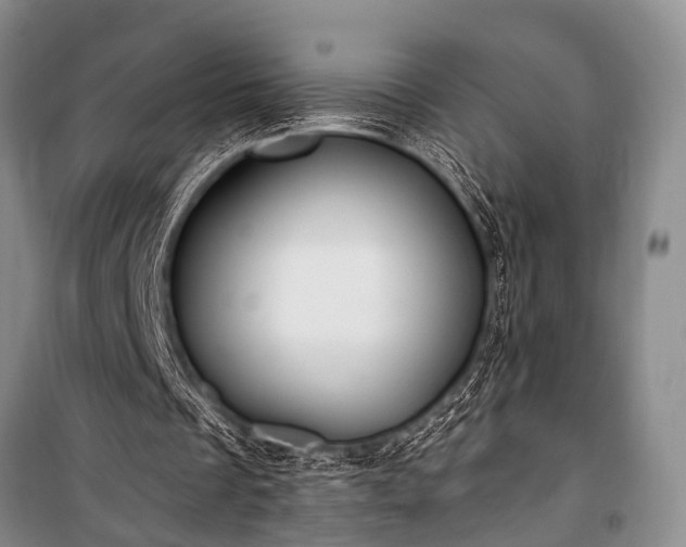 X0000100940289200807011252