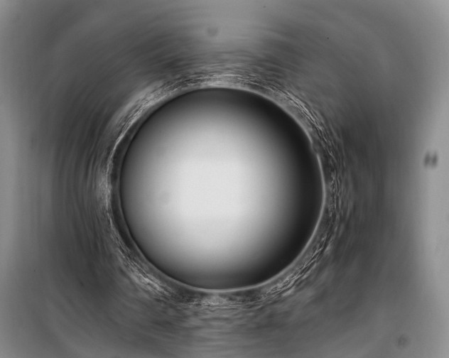 X0000100940290200807011251