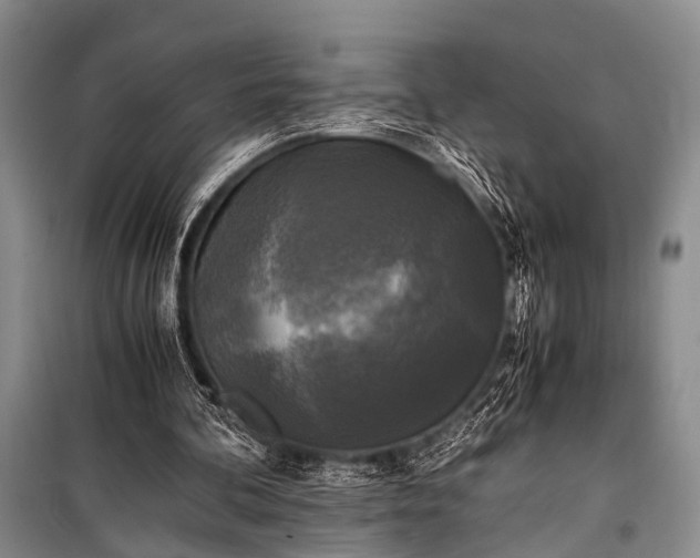 X0000100940292200807011251