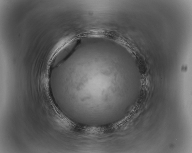 X0000100940293200807011251