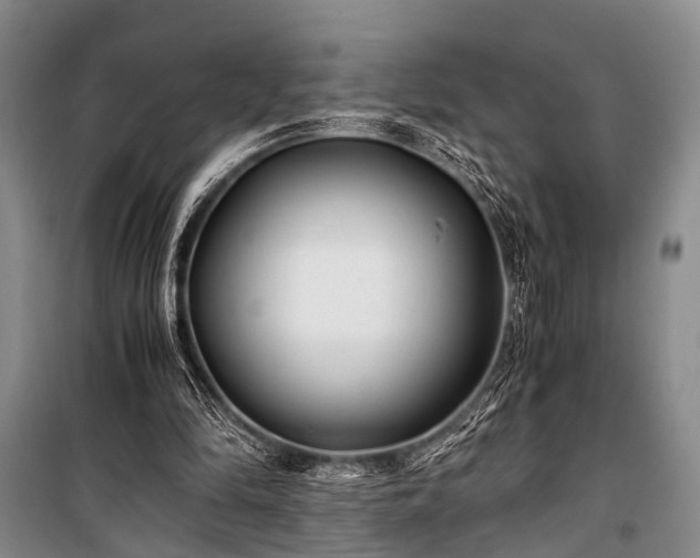 X0000100940294200807011251