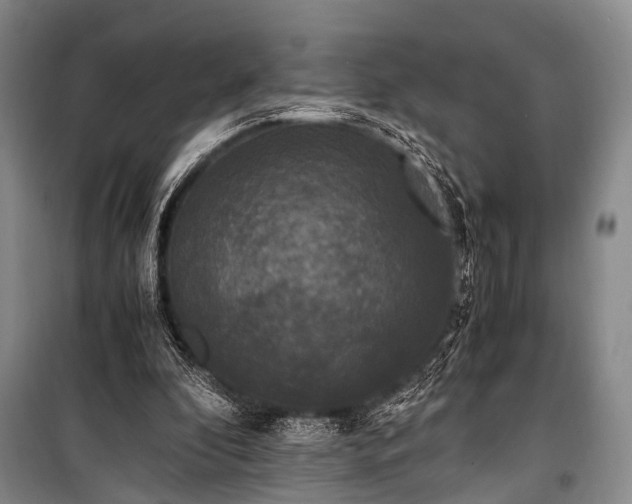 X0000100940296200807011251