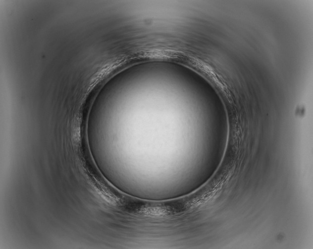 X0000100940299200807011251