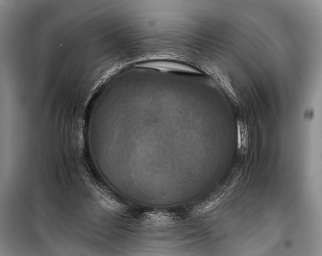 X0000100940300200807011251