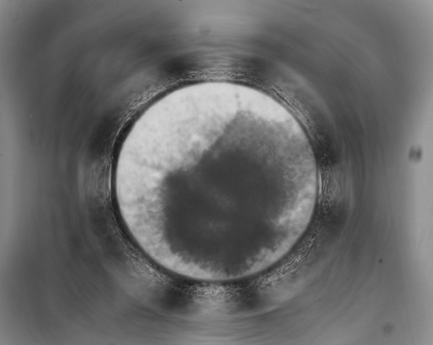 X0000100940301200807011251