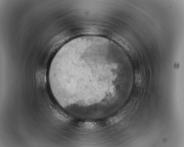 X0000100940302200807011251