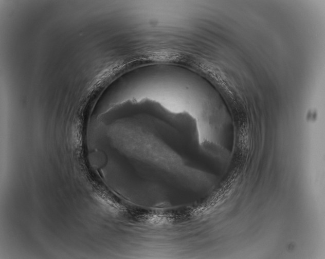 X0000100940303200807011251