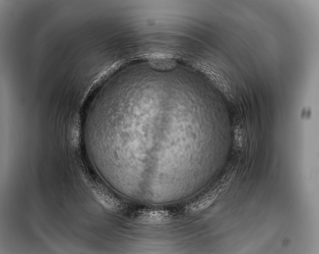 X0000100940304200807011251