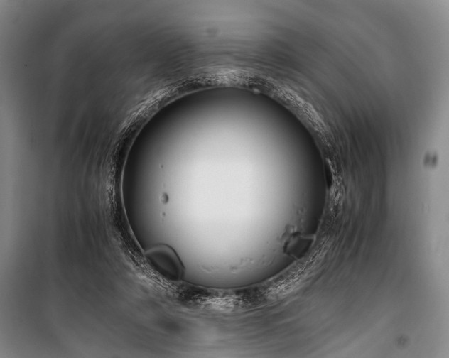 X0000100940306200807011251