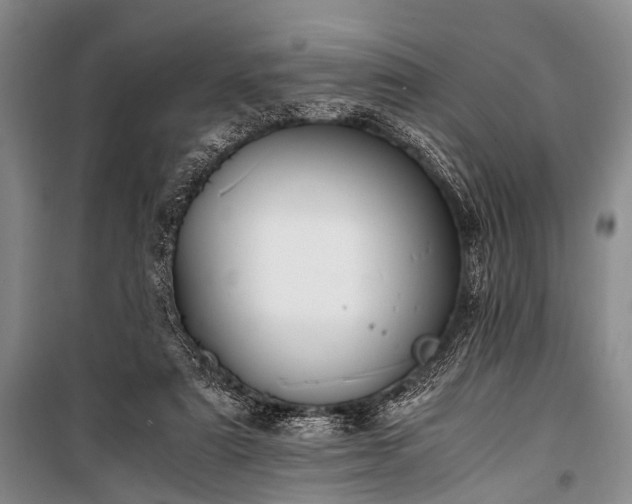 X0000100940307200807011251