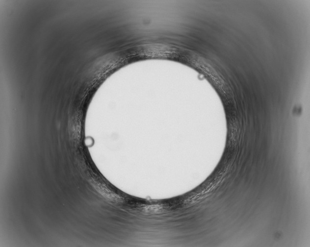 X0000100940309200807011251