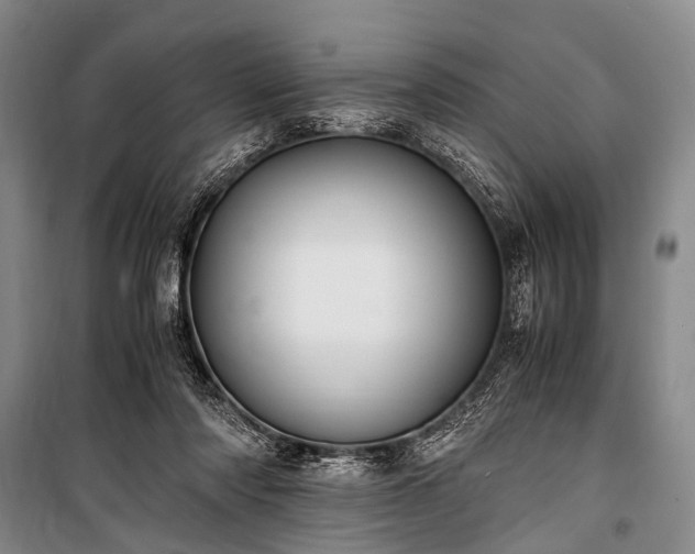 X0000100940310200807011251