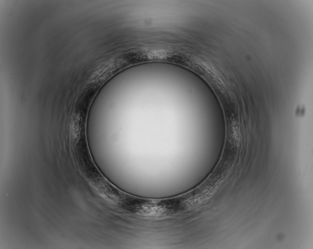 X0000100940311200807011251