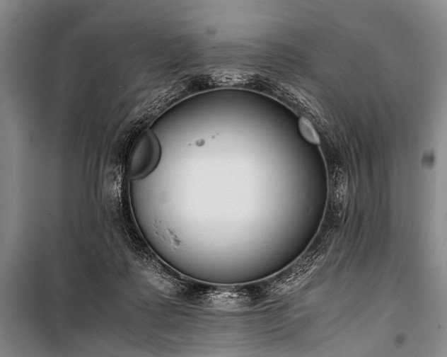 X0000100940315200807011251