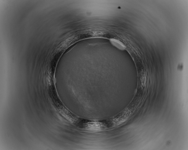 X0000100940316200807011251