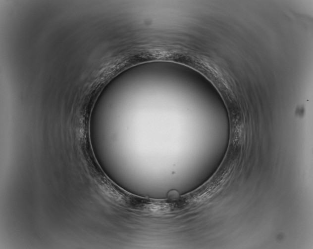 X0000100940317200807011251