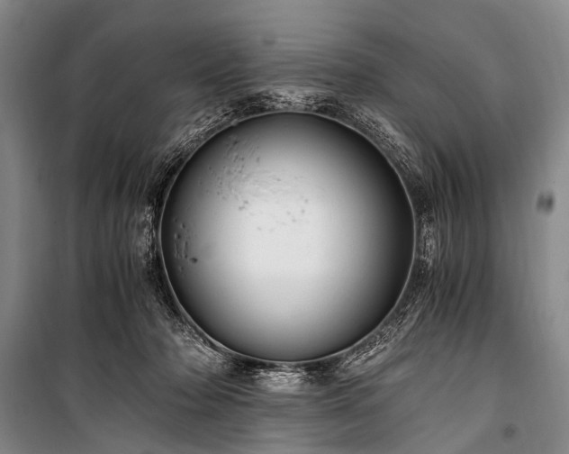 X0000100940318200807011251