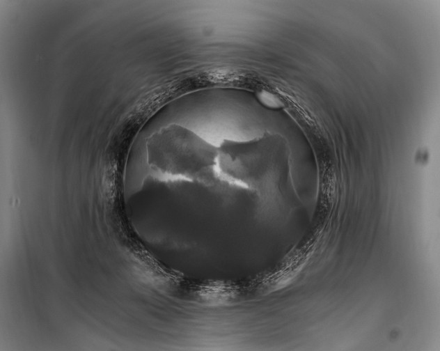 X0000100940319200807011251