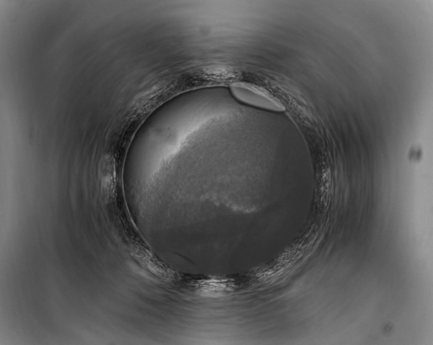 X0000100940320200807011251