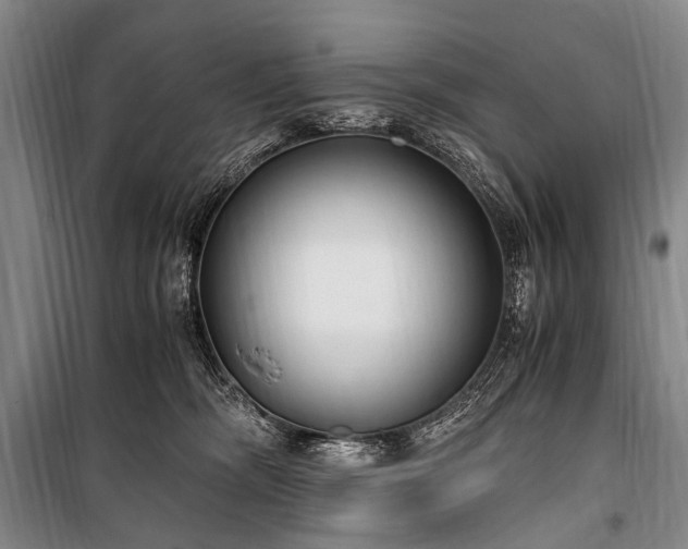 X0000100940326200807011251