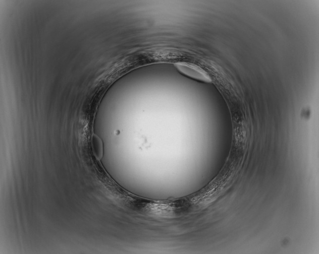 X0000100940327200807011251